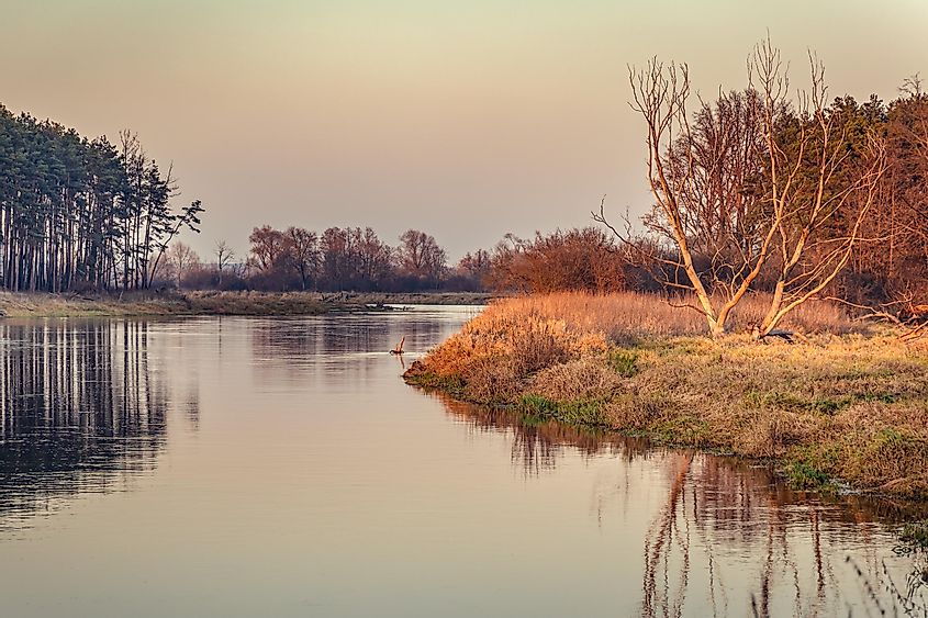 Bug river, viewpoint near Szumin, small village in Masovian Voivodeship of Poland