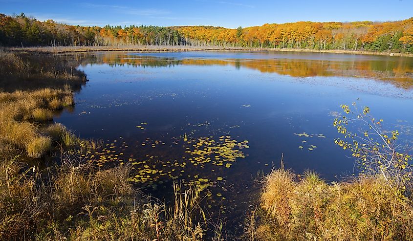 Fall foliage on the shoreline encircling Pond Hill Pond in Norfolk, Connecticut