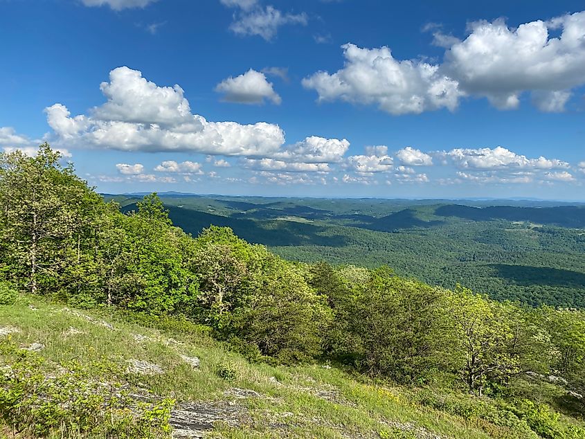 View from Buffalo Mountain near Floyd, Virginia.