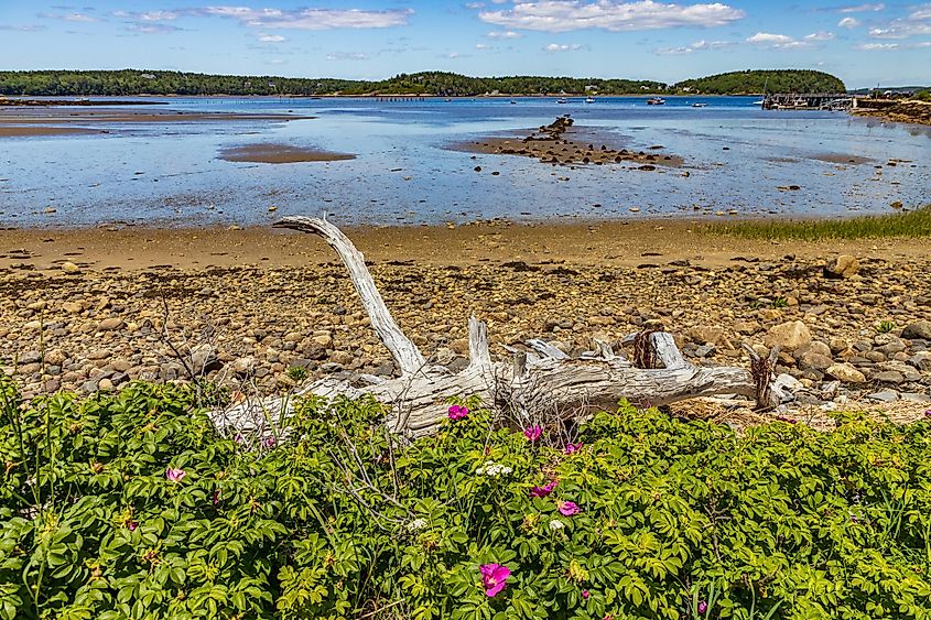 The Kennebec River in Phippsburg, Maine.