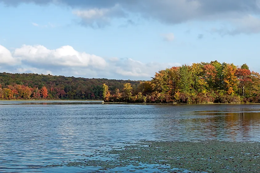 Gouldsboro State Park.