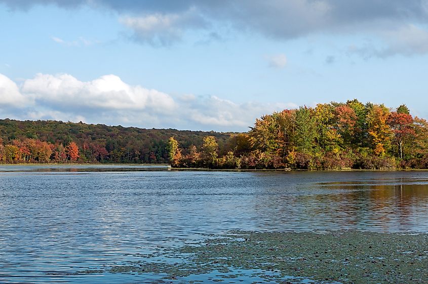 Gouldsboro State Park