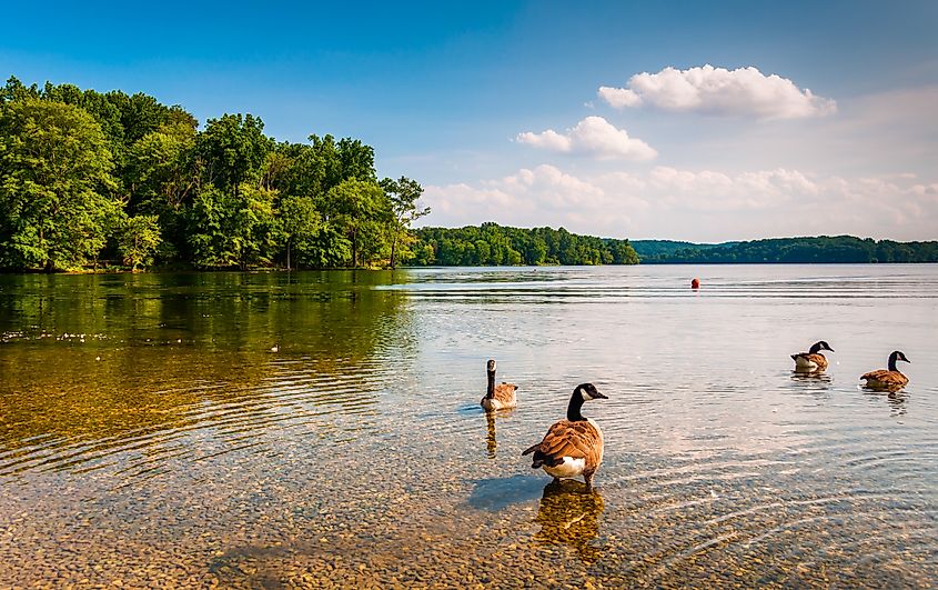 The beautiful Loch Raven Reservoir near Parkville, Maryland.