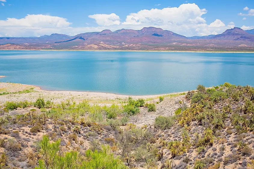 Theodore Roosevelt Lake, Arizona