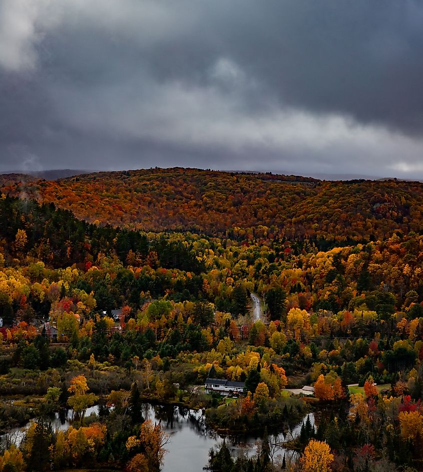 An autumn view from the Eagle's Nest Lookout in Bancroft. Photo credit: Brendan Cane