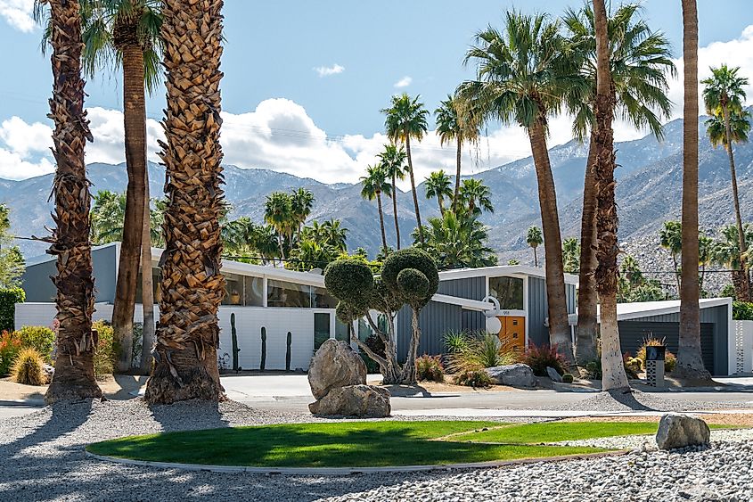 Palm springs