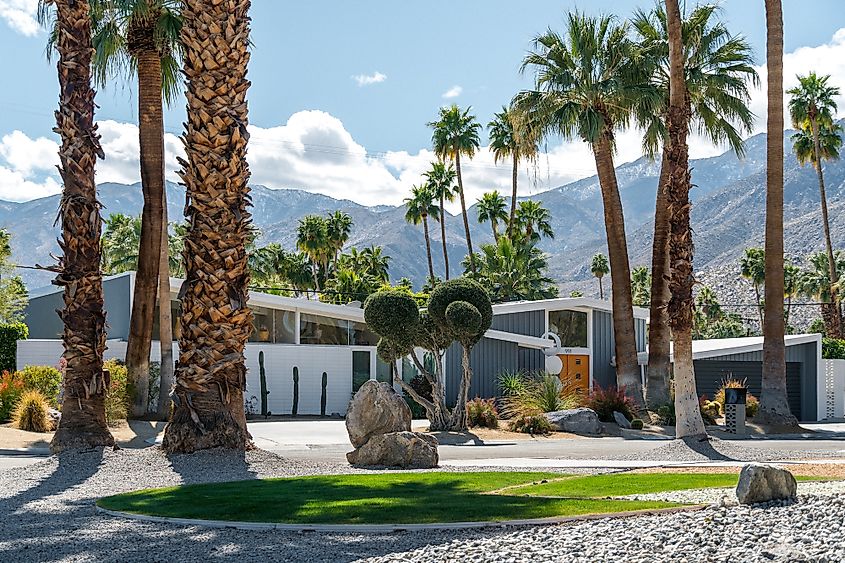 Palm springs 