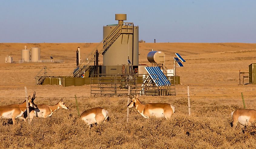 Gas production in Wyoming with antelope, Wamsutte, Wyoming