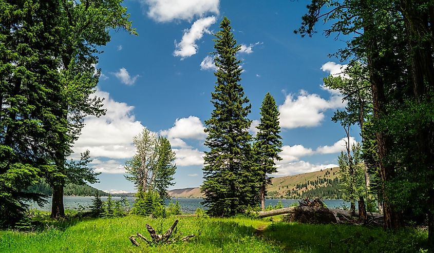 Trail with evergreen trees at Wallowa Lake State Park in Oregon