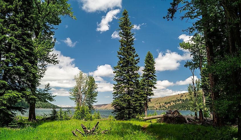 Trail with evergreen trees at Wallowa Lake State Park in Oregon