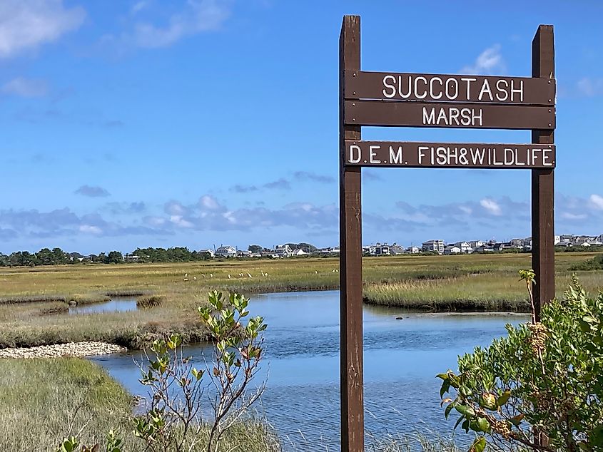 Succotash Road salt marsh in South Kingstown, Rhode Island.