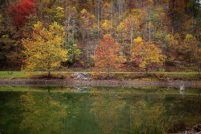 Fall in the Chief Logan Park.