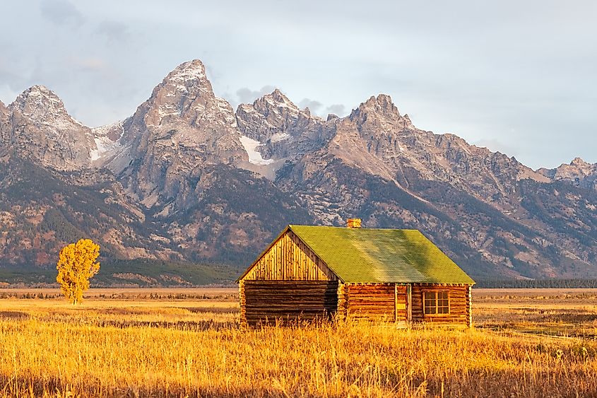 Old cabin with a copper roof in front of the Grand Teton