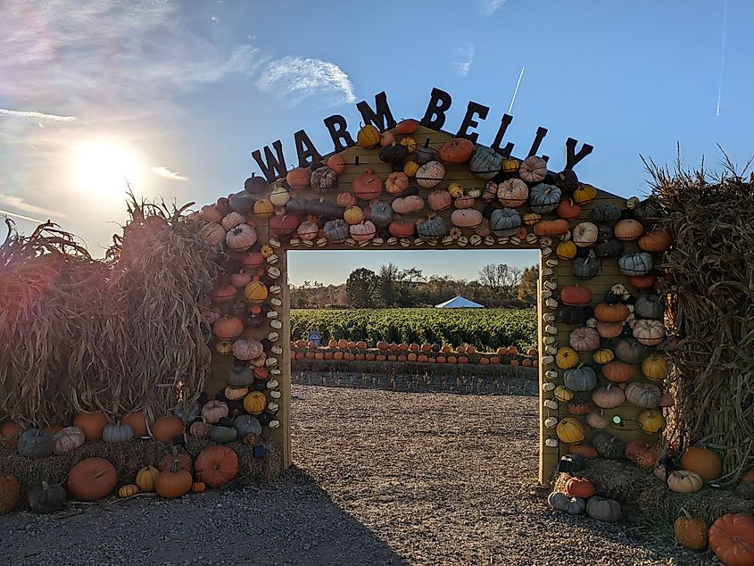 The entrance to Warm Belly Farm's Full Harvest Festival.