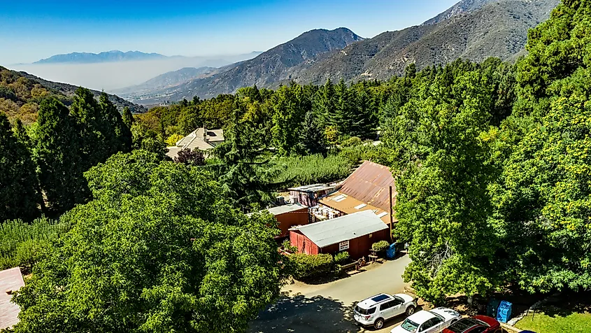 Oak Glen, California.