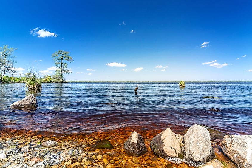 View of Virginia's Lake Drummond on a sunny day