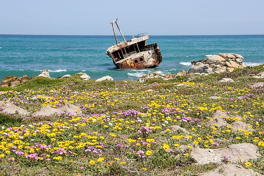 Cape Agulhas