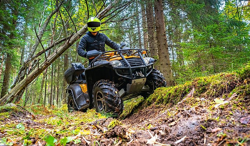 ATV with driver front view. He drives off-road in the forest. 
