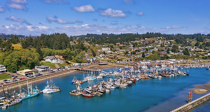 The harbor at Newport, Oregon.