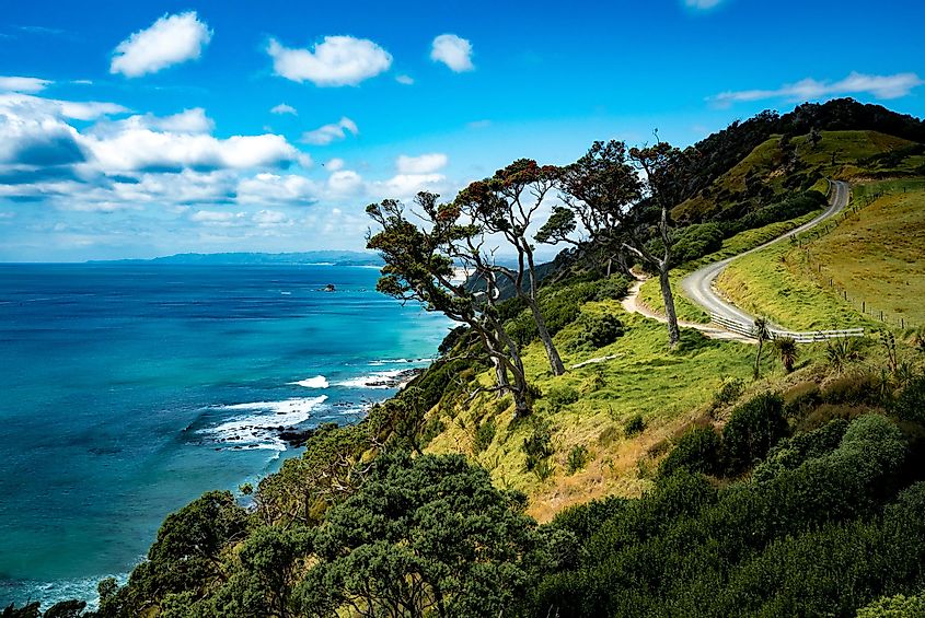 Вид на побережье Тихого океана со знаменитой аллеи мангавай-хедс в северной части Новой Зеландии