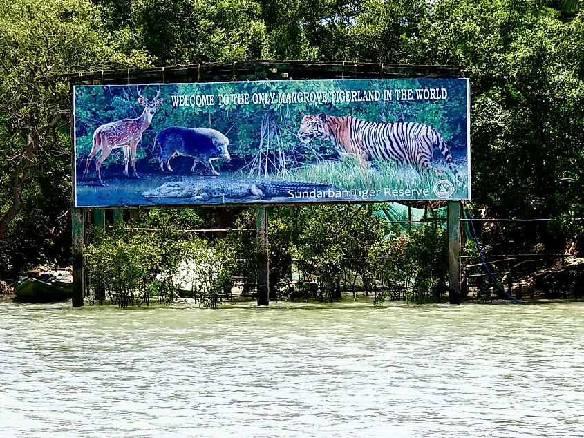 Sundarban tiger reserve