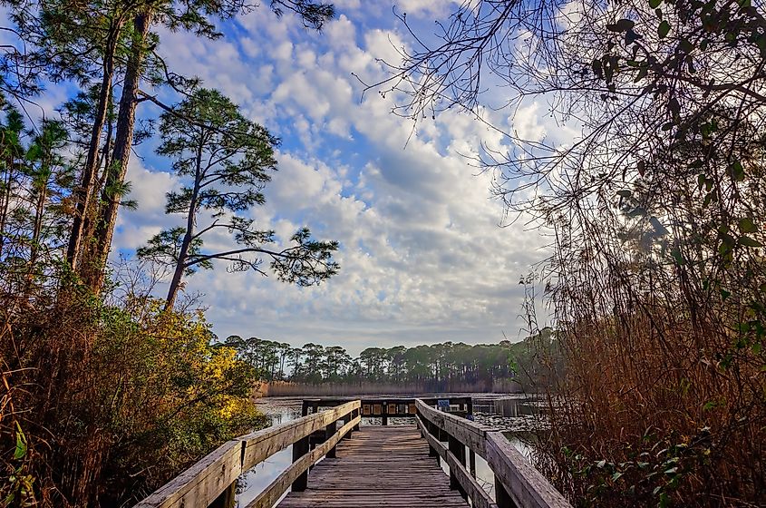 Gaillard Lake at Audubon Bird Sanctuary in Dauphin Island, Alabama