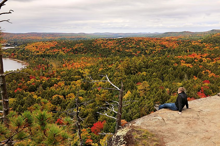 Algonquin provincial park