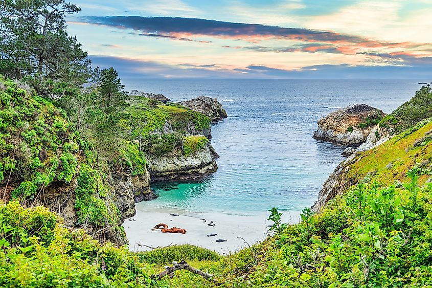 The spectacular Point Lobos State Natural Reserve, California.