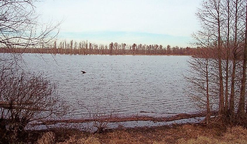 Hovey Lake at Hovey Lake Fish and Wildlife Area in Posey County, Indiana.