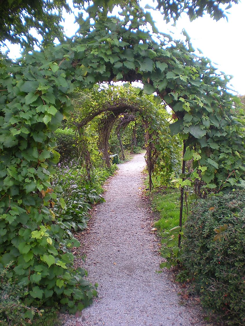 Pathway in the rose garden on the south side of the mansion. Photo: WikimediaCommons