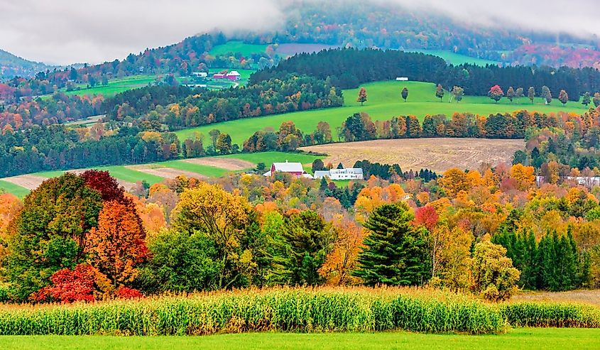 Rolling hills of Vermont show off their colors during the Autumn, Woodstock, Vermont