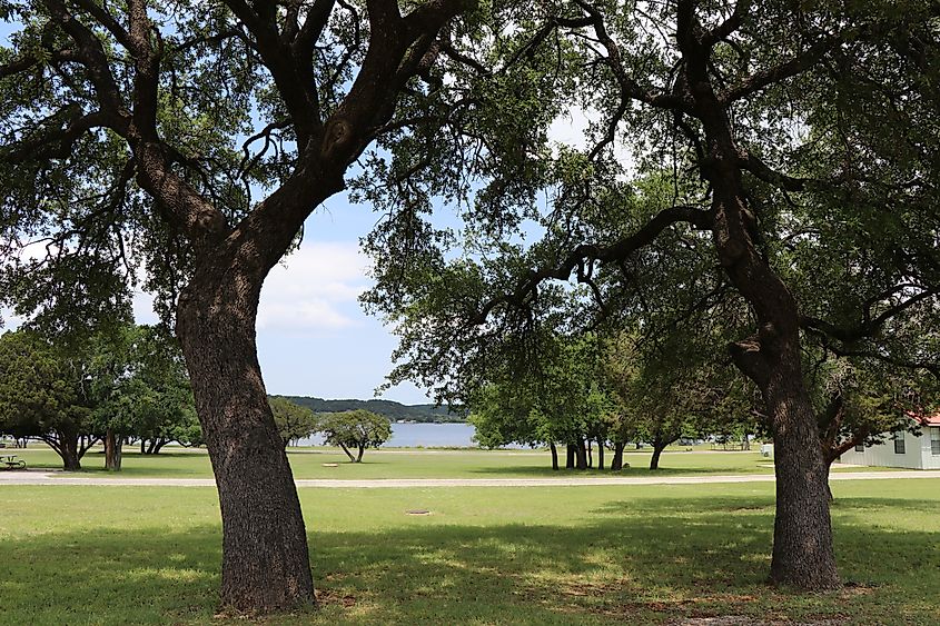 shady park scenery on spring day at possum kingdom lake