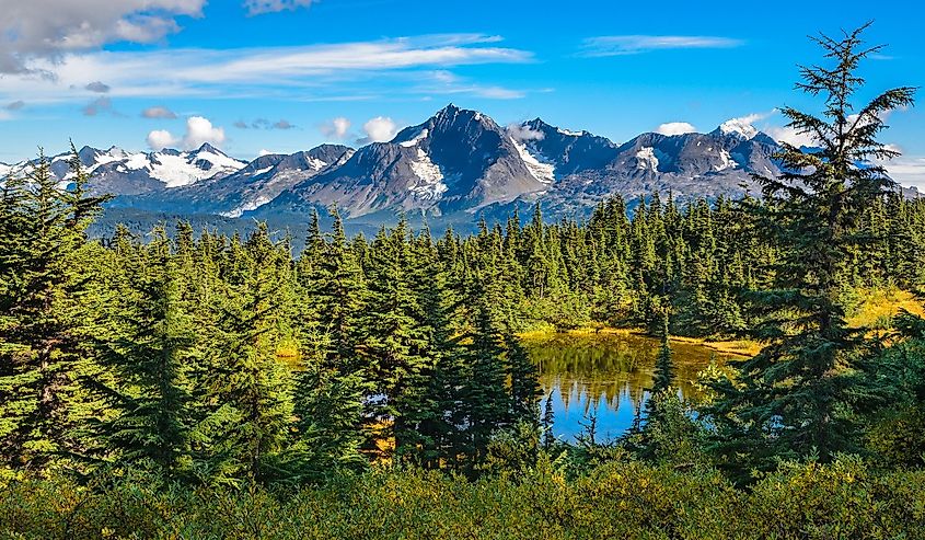 On the Lost Lake Trail, Seward, Alaska