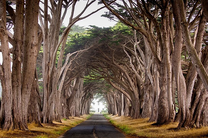 Point Reyes Seashore