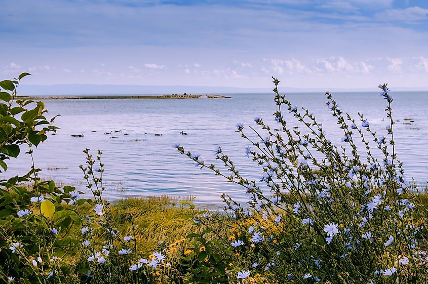 St. Lawrence River