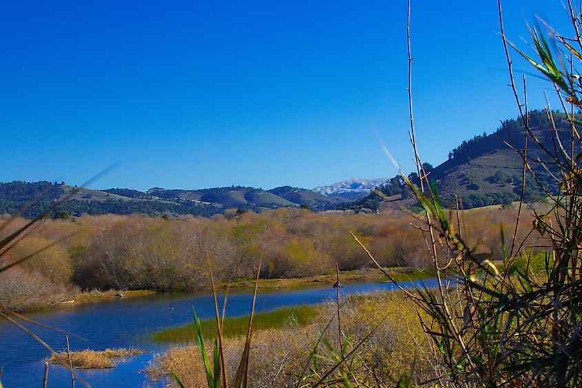 The Carmel River.