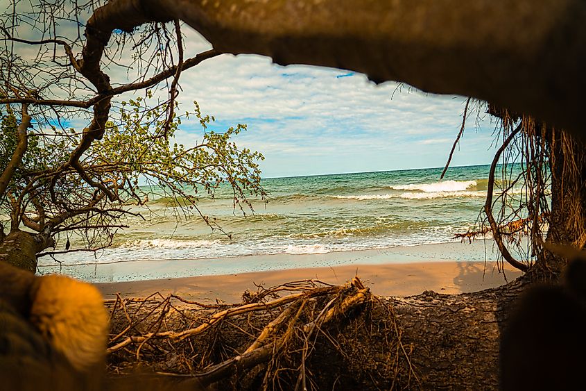 The Baltic Sea coast in Graal Müritz, Germany.
