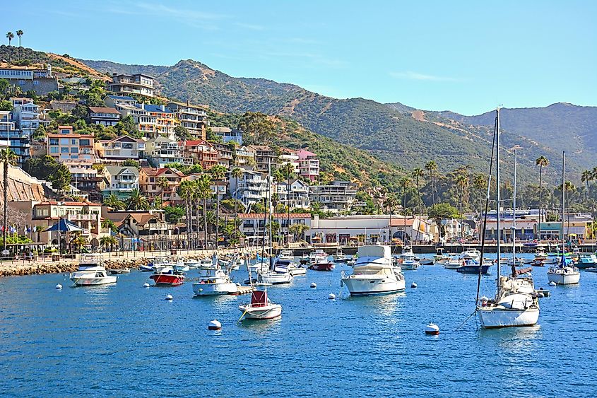 The harbor at Avalon, California.