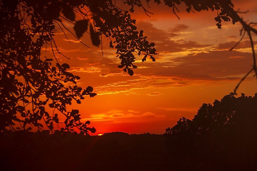 Sunset through the trees at Mahoney State Park. 