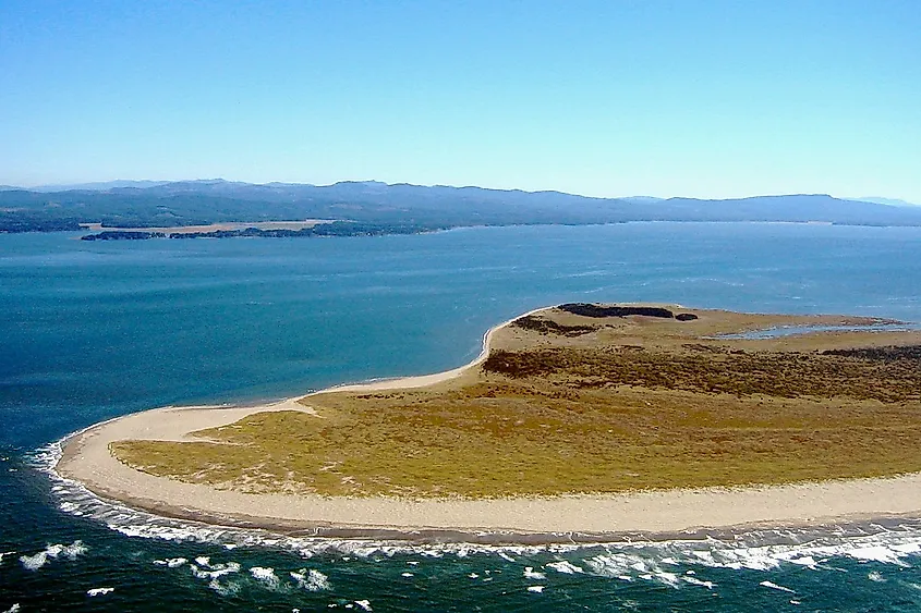 Leadbetter Point, Long Beach Peninsula, Washington.