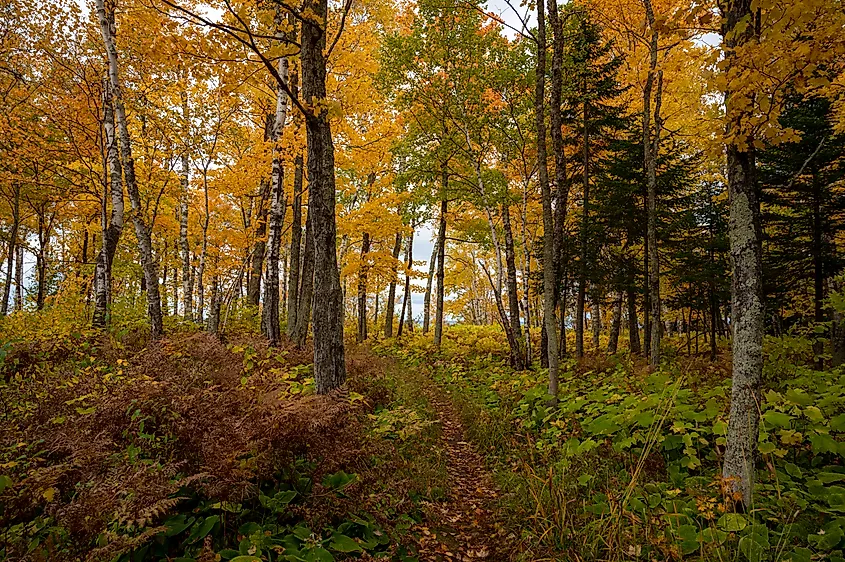Ottawa National Forest, Black River Harbor hiking path