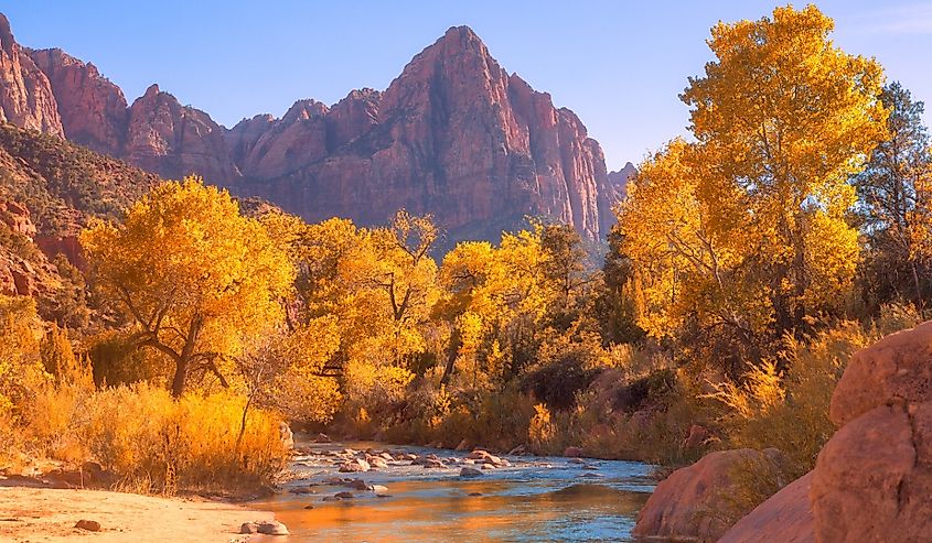 View of the Watchman mountain and the virgin river in Zion National Park located in the Southwestern United States, near Springdale, Utah