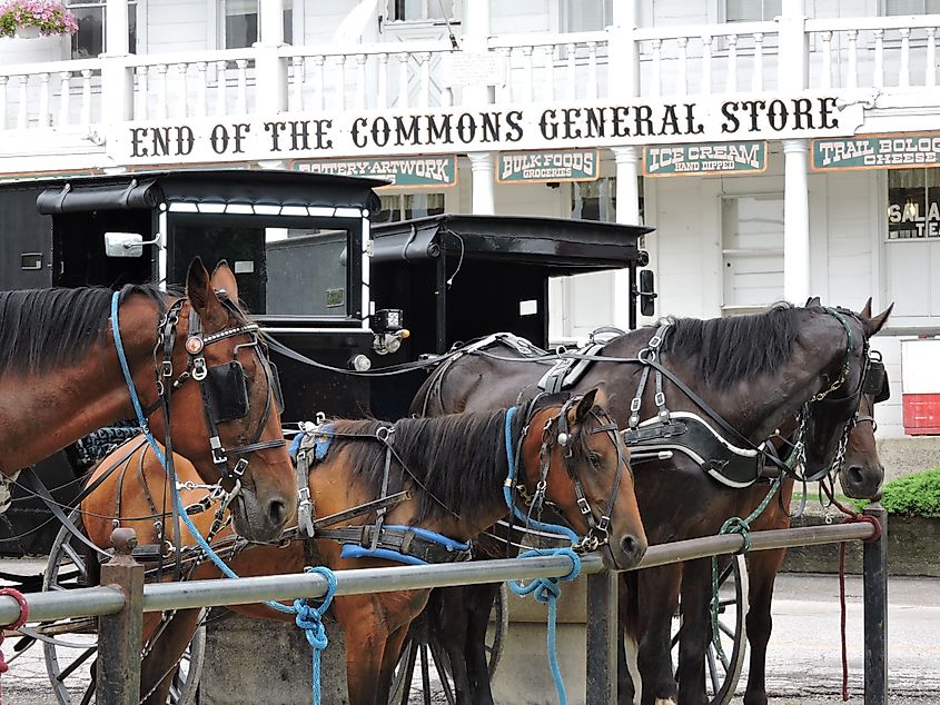 End Of The Commons General Store in Mesopotamia, Ohio.