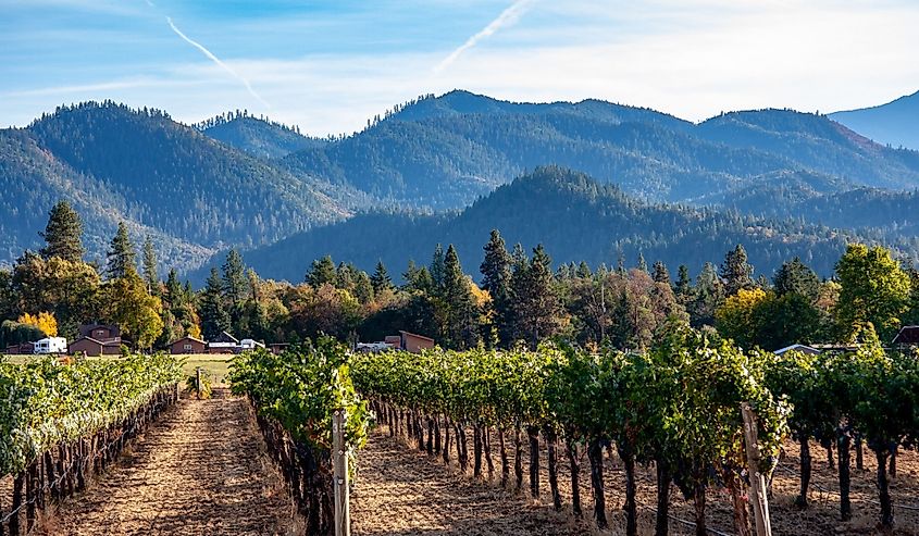 Applegate Valley winery near Ashland, Oregon