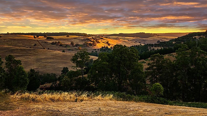 Hilly landscape near Bridgetown, Western Australia.