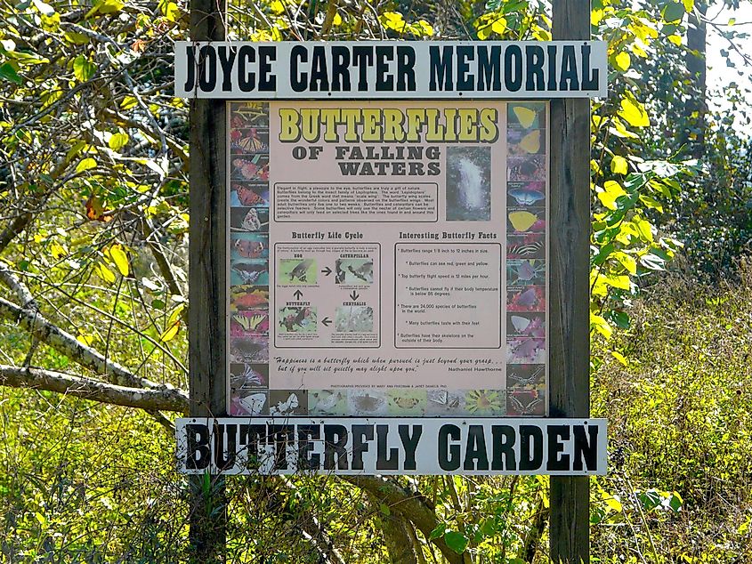 Joyce Carter Memorial Butterfly Garden at Falling Waters State Park