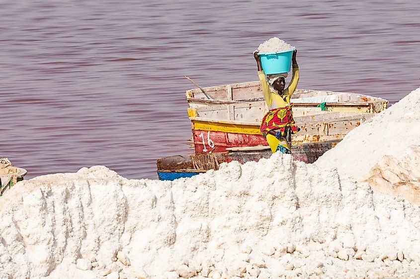 Lake Retba salt collection