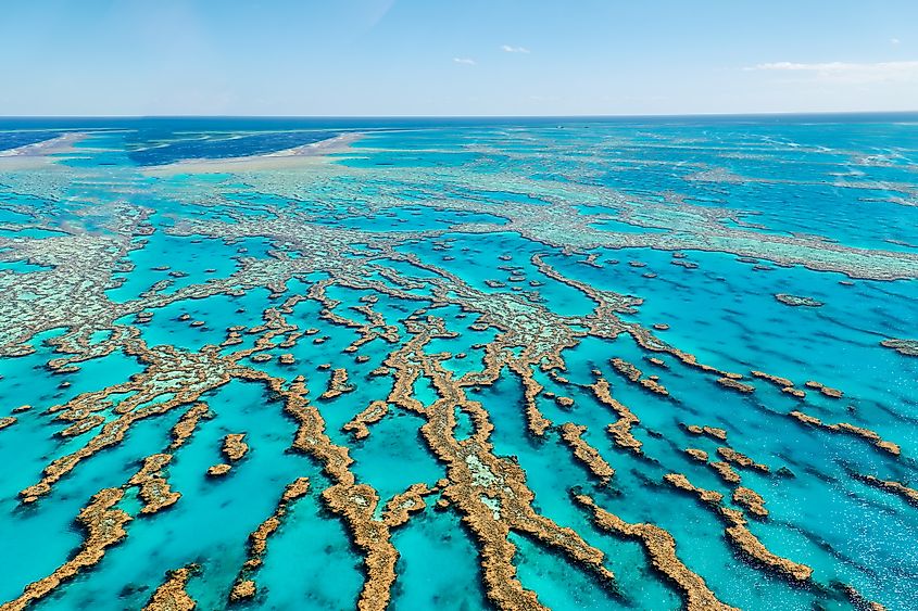 Aerial view shows coral formations in Great Barrier Reef, Australia.