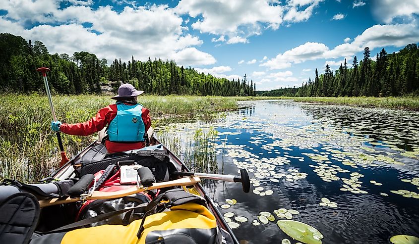 Canoeist and canoe looking over remote lakes in Minnesota