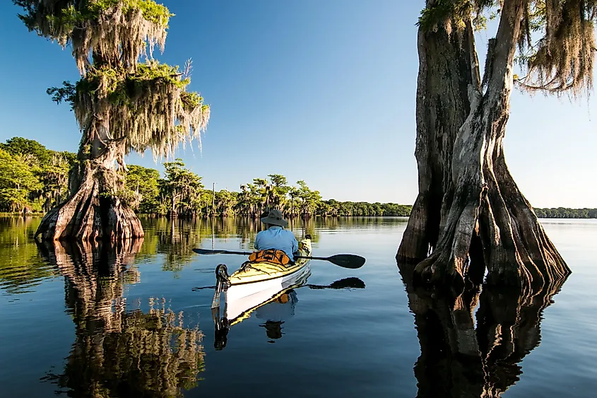 Kayaking on Blue Cypress Lake in Florida